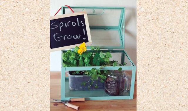 Orgabits オーガビッツのこと